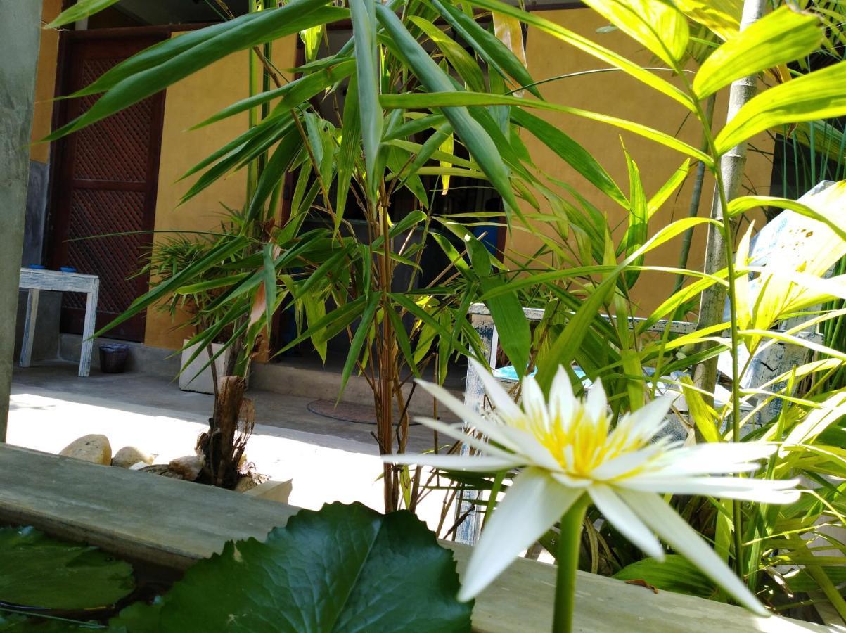 Cycling Backpacker Hostel & Cafe Unawatuna Luaran gambar